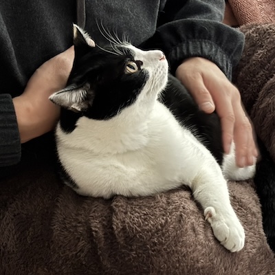 パパの膝の上でまったりするあなごちゃん