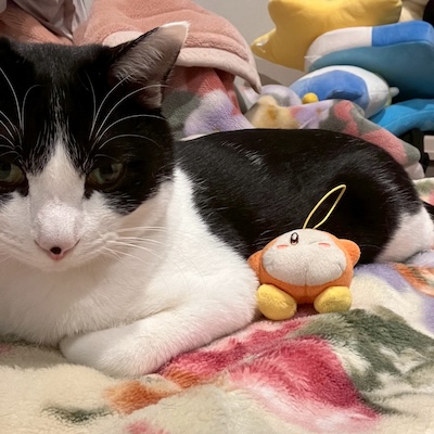 ワドルディと一緒に鎮座するあなごちゃん